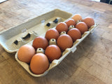 Sarahs Eggs
